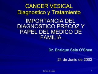 CANCER VESICAL Diagnostico y Tratamiento ,[object Object],[object Object],[object Object]