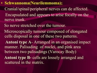 Schwannoma(Neurilemmoma);   Cranial/spinal/peripheral nerves can de affected.  Encapsulated and appears to arise focally on the nerve trunk. So nerve stretched over the tumour. Microscopically tumour composed of elongated cells disposal in one of these two patterns.  Antoni type A - Arranged in an organised impact  manner. Palisading  of nuclei, and pink area between two palisadings (Varocay Body) Antoni type B-  cells are lossely arranged and scattered in the matrix.  