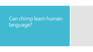 Can chimp learn human 
language? 
 