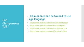 Chimps Using Sign Language Can chimp learn human language | PPTX