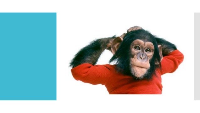 Can chimp learn human language