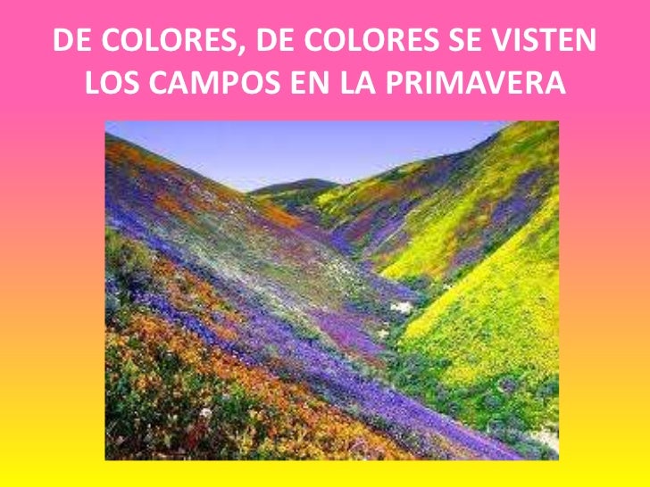 De Colores Se Visten Los Campos En La Primavera
