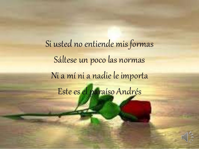 Ver las imágenes de origen