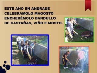 ESTE ANO EN ANDRADE
CELEBRÁMOLO MAGOSTO
ENCHERÉMOLO BANDULLO
DE CASTAÑAS, VIÑO E MOSTO.
 