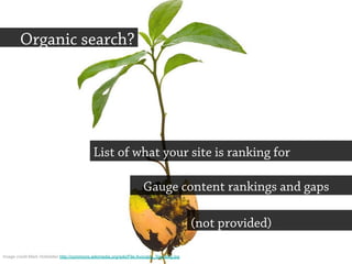 Organic search?
Gauge content rankings and gaps
List of what your site is ranking for
(not provided)
Image credit:Mark Hofstetter http://commons.wikimedia.org/wiki/File:Avocado_Seedling.jpg
 
