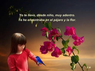 Yo te llevo, desde niño, muy adentro.  Te he encontraba en el pájaro y la flor.  