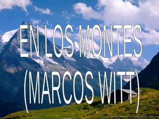 EN LOS MONTES (MARCOS WITT) 