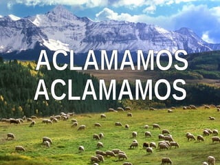 ACLAMAMOS ACLAMAMOS 