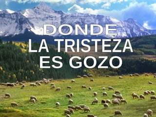 DONDE ES GOZO LA TRISTEZA 