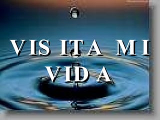 VISITA MI VIDA 