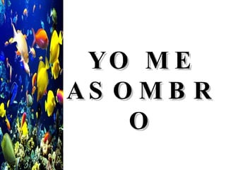 YO ME ASOMBRO 