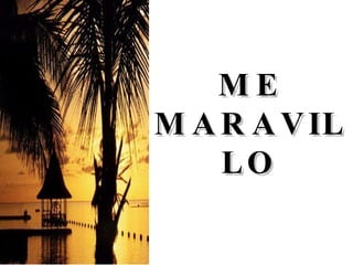 ME MARAVILLO 