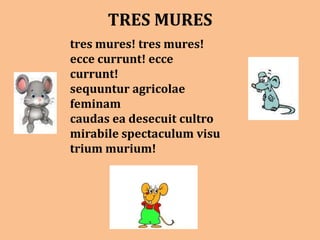 TRES MURES
tres mures! tres mures!
ecce currunt! ecce
currunt!
sequuntur agricolae
feminam
caudas ea desecuit cultro
mirabile spectaculum visu
trium murium!
 