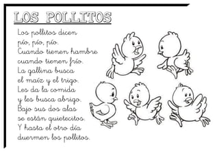 Los pollitos dicen
pío, pío, pío.
Cuando tienen hambre
cuando tienen frío.
La gallina busca
el maíz y el trigo.
Les da la comida
y les busca abrigo.
Bajo sus dos alas
se están quietecitos.
Y hasta el otro día
duermen los pollitos.
 