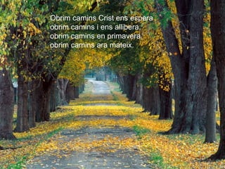 Obrim camins Crist ens espera
obrim camins i ens allibera,
obrim camins en primavera,
obrim camins ara mateix.
 