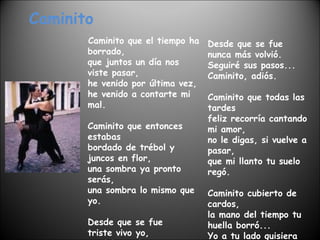 Caminito Caminito que el tiempo ha borrado, que juntos un día nos viste pasar, he venido por última vez, he venido a contarte mi mal. Caminito que entonces estabas bordado de trébol y juncos en flor, una sombra ya pronto serás, una sombra lo mismo que yo. Desde que se fue triste vivo yo, caminito amigo, yo también me voy. Desde que se fue nunca más volvió. Seguiré sus pasos... Caminito, adiós. Caminito que todas las tardes feliz recorría cantando mi amor, no le digas, si vuelve a pasar, que mi llanto tu suelo regó. Caminito cubierto de cardos, la mano del tiempo tu huella borró... Yo a tu lado quisiera caer y que el tiempo nos mate a los dos. 