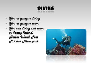 DivingYou´re going to divingYou´re going to swimYou can diving and swim in Contoy Island,Holbox Island, Port Morelos, Nizuc park.
