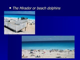 The Mirador or beach dolphins