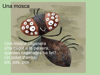 Una mosca           Una mosca caganera  s'ha cagat a la peixera,  quantes cagarades ha fet?  Un potet d'arròs  pis, pas, pos.  