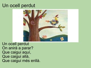 Un ocell perdut             Un ocell perdut On anirà a parar? Que caigui aquí, Que caigui allà, Que caigui més enllà. 