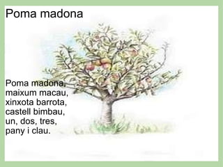 Poma madona         Poma madona, maixum macau, xinxota barrota, castell bimbau, un, dos, tres, pany i clau. 