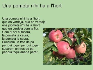 Una pometa n'hi ha a l'hort Una pometa n'hi ha a l'hort,  que en verdeja, que en verdeja; una piometa n'hi ha a l'hort que en verdeja com la flor. Com el sol hi tocarà, la pometa ja caurà, la pometa ja caurà. Sucarem un tros de pa per qui toqui, per qui toqui, sucarem un tros de pa per qui toqui anar a parar.     