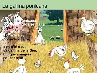 La gallina p onicana, pon  un ou cada setmana. P on-n’ hi un,  pon- n’hi dos, pon -n’hi tres,  pon-n’hi quatre, ... pon-n’hi deu,. La gallina de la Seu, diu que amaguis  aquest peu! La gallina ponicana 