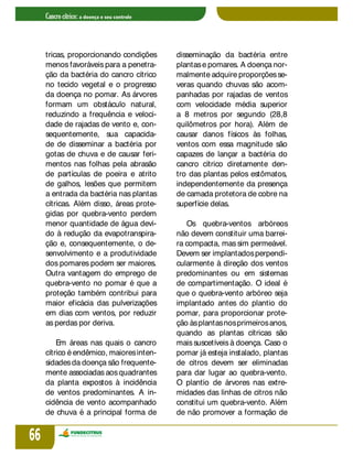 cancro-citrico-pdf.pdf