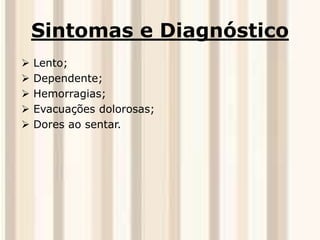 Sintomas e Diagnóstico 
 Lento; 
 Dependente; 
 Hemorragias; 
 Evacuações dolorosas; 
 Dores ao sentar. 
 