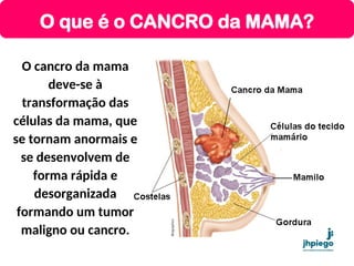 O que é o CANCRO da MAMA?
O cancro da mama
deve-se à
transformação das
células da mama, que
se tornam anormais e
se desenvolvem de
forma rápida e
desorganizada
formando um tumor
maligno ou cancro.
 