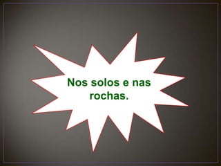 Nos solos e nas rochas.