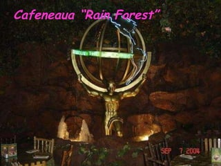 Cafeneaua “Rain Forest” 