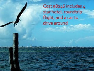 Cost $8246 includes 4 star hotel, roundtrip flight, and a car to drive around