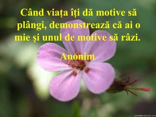 Când viaţa îţi dă motive să plângi, demonstrează că ai o mie şi unul de motive să râzi .  Anonim   