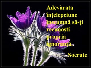 Adevărata înţelepciune înseamnă să-ţi recunoşti propria ignoranţă . S o crate 