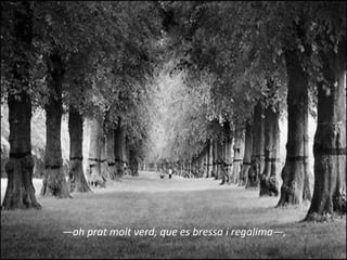 —oh prat molt verd, que es bressa i regalima—,
 