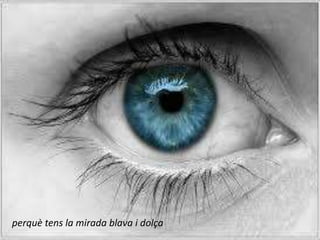 perquè tens la mirada blava i dolça
 