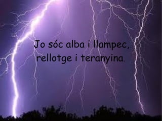 Jo sóc alba i llampec,
rellotge i teranyina.
 