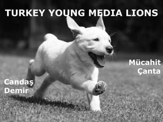 TURKEY YOUNG MEDIA LIONS




                   Mücahit
                    Çanta
Candaş
Demir
 