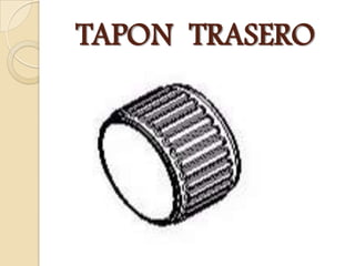TAPON TRASERO
 