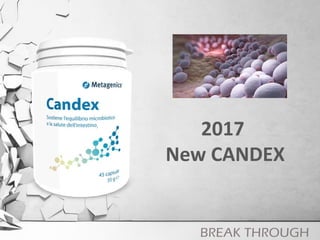 2017
New CANDEX
 