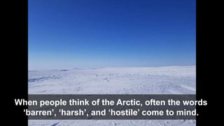 When people think of the Arctic, often the words
‘barren’, ‘harsh’, and ‘hostile’ come to mind.
 