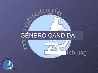 GÉNERO CANDIDA 