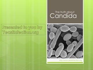 The truth about
Candida




    http://www.yeastinfection.org
 