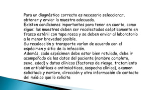 Para un diagnóstico correcto es necesario seleccionar,
obtener y enviar la muestra adecuada.
Existen condiciones importantes para tener en cuenta, como
sigue: las muestras deben ser recolectadas asépticamente en
frasco estéril con tapa rosca y se deben enviar al laboratorio
a la menor brevedad posible.
Su recolección y transporte varían de acuerdo con el
espécimen y sitio de la infección.
Además, cada espécimen debe estar bien rotulado, debe ir
acompañado de los datos del paciente (nombre completo,
sexo, edad) y datos clínicos (factores de riesgo, tratamiento
con antibióticos o antimicóticos, sospecha clínica), examen
solicitado y nombre, dirección y otra información de contacto
del médico que lo solicita
 