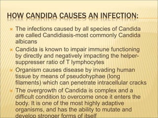 HOW CANDIDA CAUSES AN INFECTION:
 The infections caused by all species of Candida
are called Candidiasis-most commonly Candida
albicans
 Candida is known to impair immune functioning
by directly and negatively impacting the helper-
suppresser ratio of T lymphocytes
 Organism causes disease by invading human
tissue by means of pseudohyphae (long
filaments) which can penetrate intracellular cracks
 The overgrowth of Candida is complex and a
difficult condition to overcome once it enters the
body. It is one of the most highly adaptive
organisms, and has the ability to mutate and
develop stronger forms of itself
 
