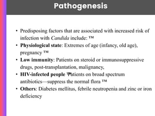 Pathogenesis
• Predisposing factors that are associated with increased risk of
infection with Candida include: ™
• Physiological state: Extremes of age (infancy, old age),
pregnancy ™
• Low immunity: Patients on steroid or immunosuppressive
drugs, post-transplantation, malignancy,
• HIV-infected people ™
Patients on broad spectrum
antibiotics—suppress the normal flora ™
• Others: Diabetes mellitus, febrile neutropenia and zinc or iron
deficiency
 