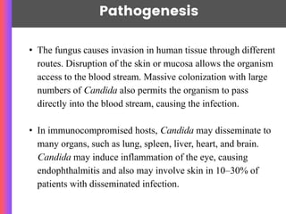 Pathogenesis
• The fungus causes invasion in human tissue through different
routes. Disruption of the skin or mucosa allows the organism
access to the blood stream. Massive colonization with large
numbers of Candida also permits the organism to pass
directly into the blood stream, causing the infection.
• In immunocompromised hosts, Candida may disseminate to
many organs, such as lung, spleen, liver, heart, and brain.
Candida may induce inflammation of the eye, causing
endophthalmitis and also may involve skin in 10–30% of
patients with disseminated infection.
 