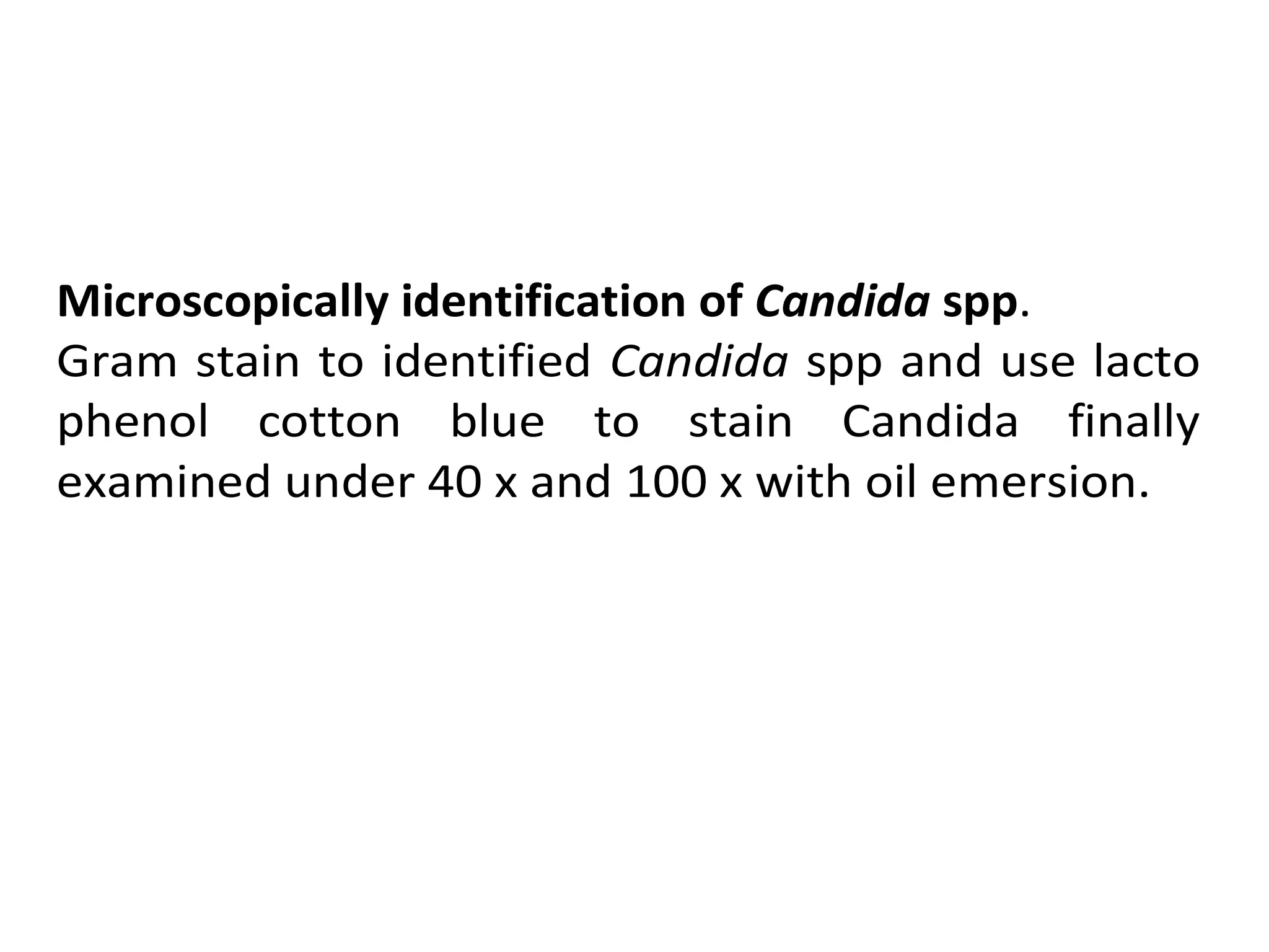 candida albicans (1).pdf