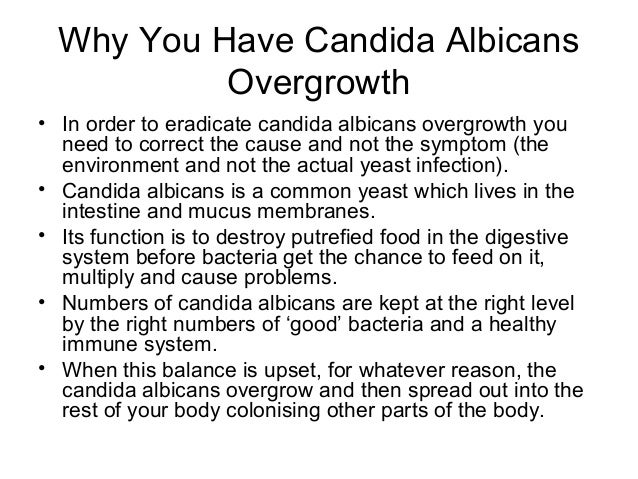 Candida albicans overgrowth treatment